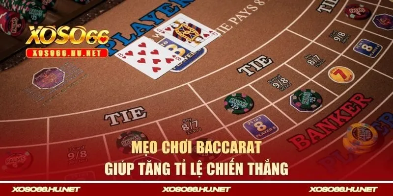 Mẹo cá cược hiệu quả giúp tăng thêm tỉ lệ chiến thắng