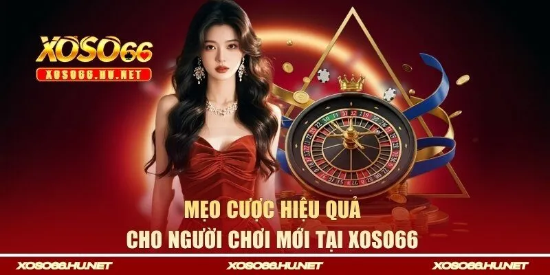 Mẹo cược hiệu quả cho người chơi mới tại Xoso66