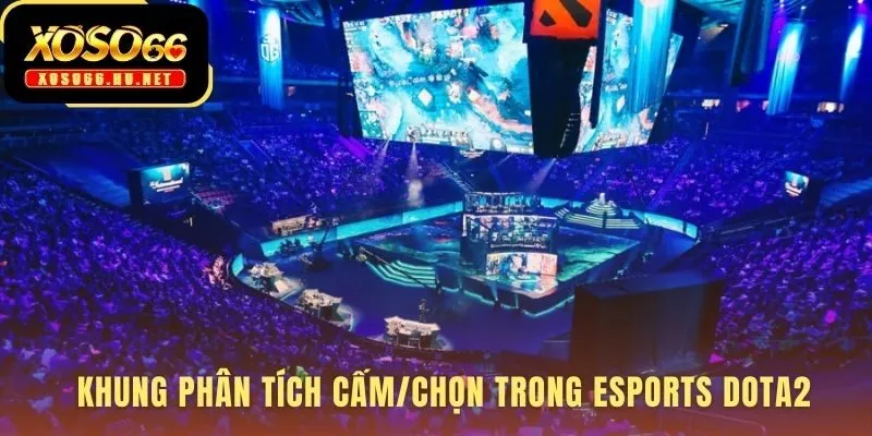 Phân tích Cấm/Chọn esports dota2 hé lộ chiến thuật đội